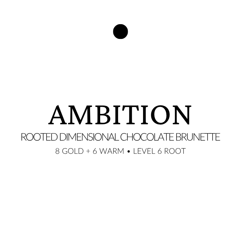 Text indicating 'AMBITION' with hair color description on a white background extensions in chocolate brunette with 8 gold and 6 warm tones and a level 6 root, shown in long smooth strands.