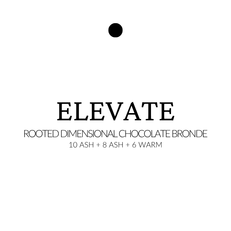 Text indicating 'ELEVATE' hair color formula on a white background extensions in rooted chocolate bronde with 10 ash, 8 ash, and level 6 warm root, shown in sleek dimensional strands.
